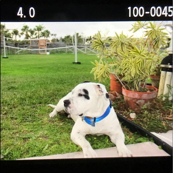 Meet your Posher, Naomi Gee - Picture 6 of 8